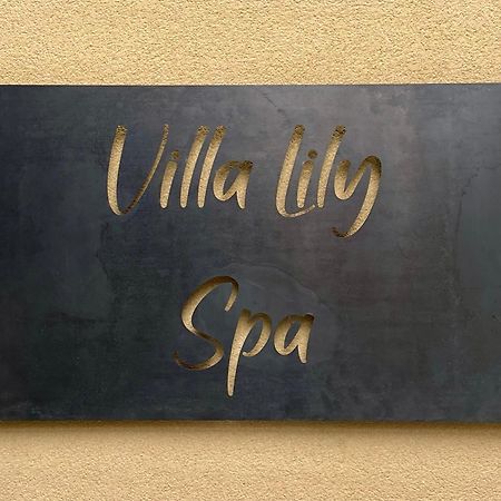 Villa Lily Spa, Chambre D'Hotes Avec Spa Privatif La Vicomte-sur-Rance Экстерьер фото