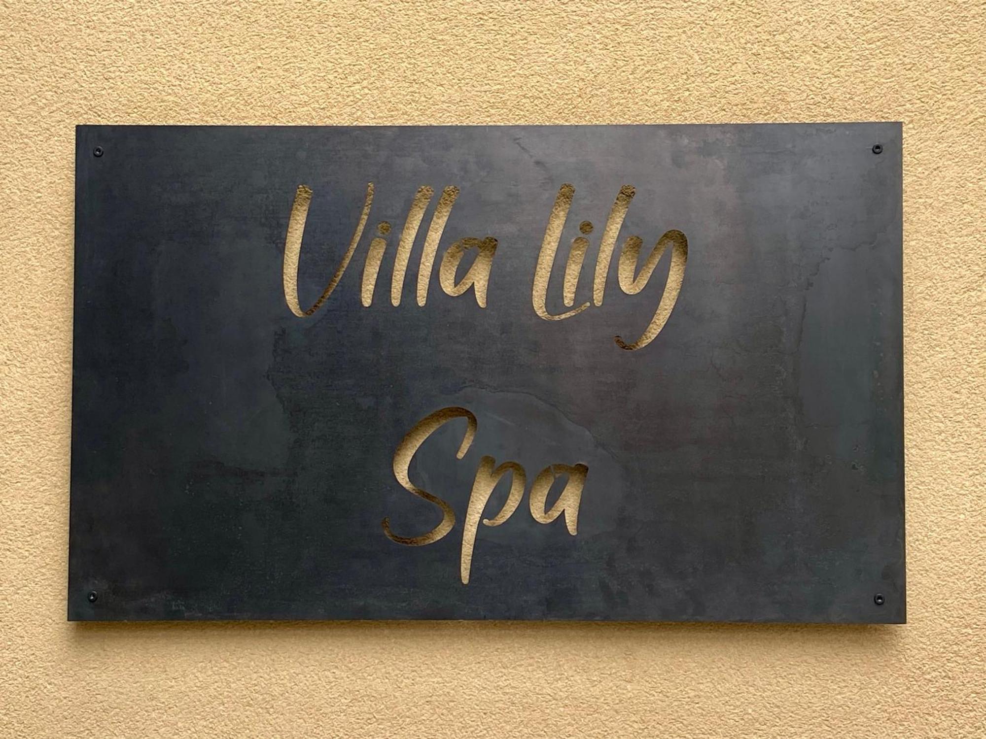 Villa Lily Spa, Chambre D'Hotes Avec Spa Privatif La Vicomte-sur-Rance Экстерьер фото